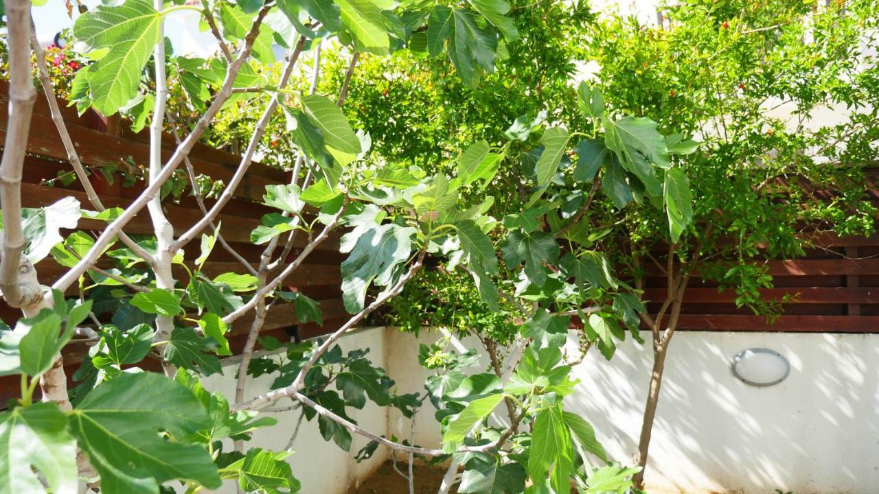 Villa Nova Πρωταράς Εξωτερικό φωτογραφία